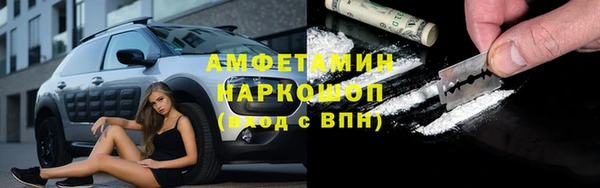 сатива Абинск