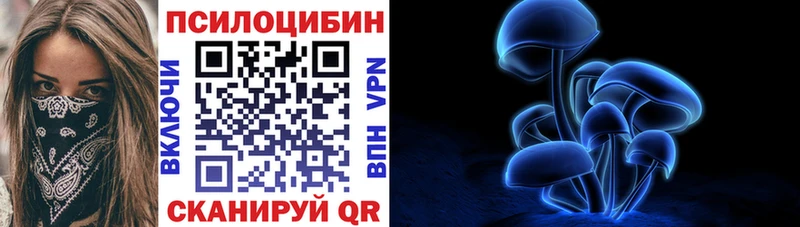 закладка  Абаза  Галлюциногенные грибы Psilocybine cubensis 